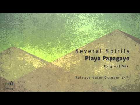 [Trance & Progressive] Several Spirits - Playa Papagayo (Original Mix) [PHW004]