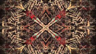 Transient  The Church  Gold Afternoon Fix