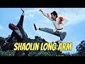 Wu Tang Collection Shaolin Long Arm