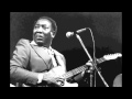 Muddy Waters - I'm A King Bee