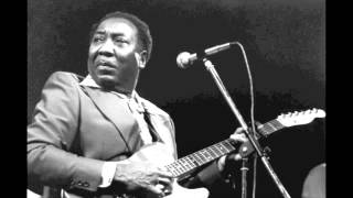 Muddy Waters - I&#39;m A King Bee
