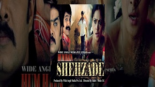 Hum Hain Shehzade (Full Movie) - Watch Free Full Length action Movie