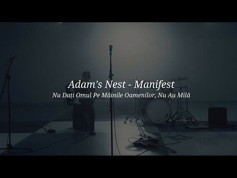 Adam's Nest - Manifest