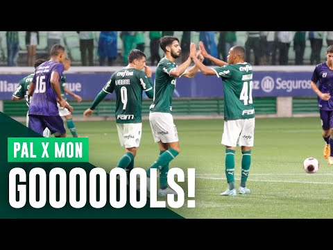 GOLS DO JOGO-TREINO | PALMEIRAS 4 X 0 MONTE AZUL