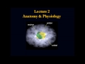 LEARRN Anatomy Physiology Review I Dr G Paredes