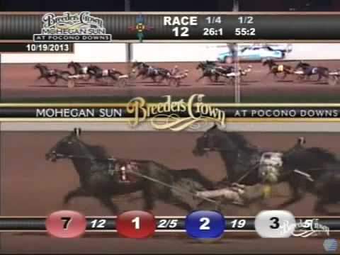 Captaintreacherous( 1:49:2) Winner- Breeders Crown 2013 3 Year Old Colts & Geldings