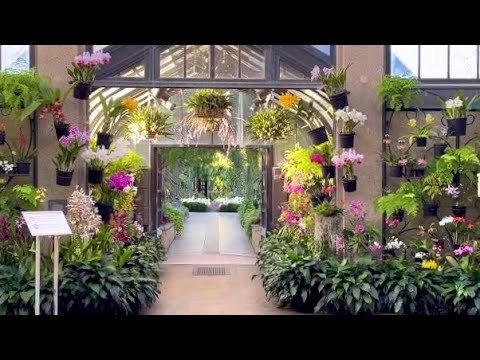 Looking through the Orchid House at Longwood Gardens