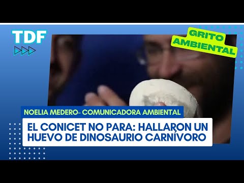 En Río Negro, El CONICET transmite en vivo una expedición paleaontológica en busca de dinosaurios