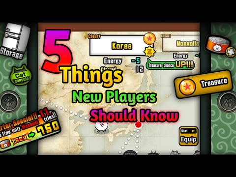 5 Things New Players Should Know In Battle Cats ( Very Beginning )
