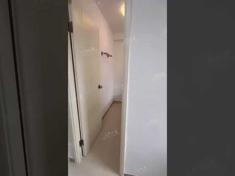 Hayon Building Youtube Video