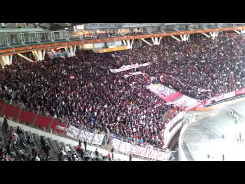 "Tetracampeon te vinimo a alentar" Barra: Los Leales • Club: Estudiantes de La Plata