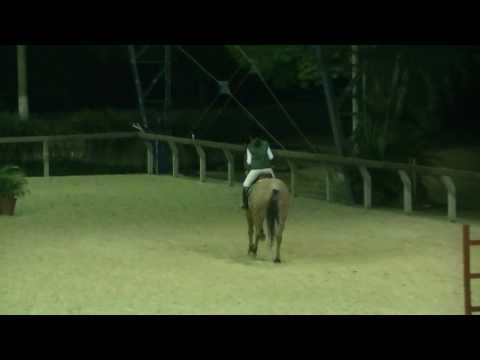 MARIANA MULLER-INTERCLUBES SHPA O 85 010