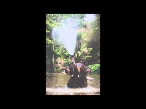 Mac Miller "Type Beat" - In The Tropics Prod. Elmntry