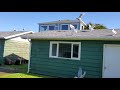 Seagulls Eat A Whole Bunch Of Bread On The Laundry Roof