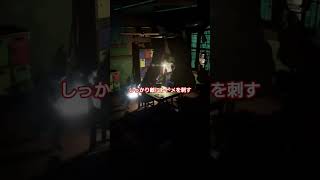 先程上げたショート動画を一つに纏めて見ました #ゲーム実況