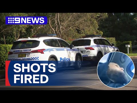 Gunshots fired from moving vehicle | 9 News Australia