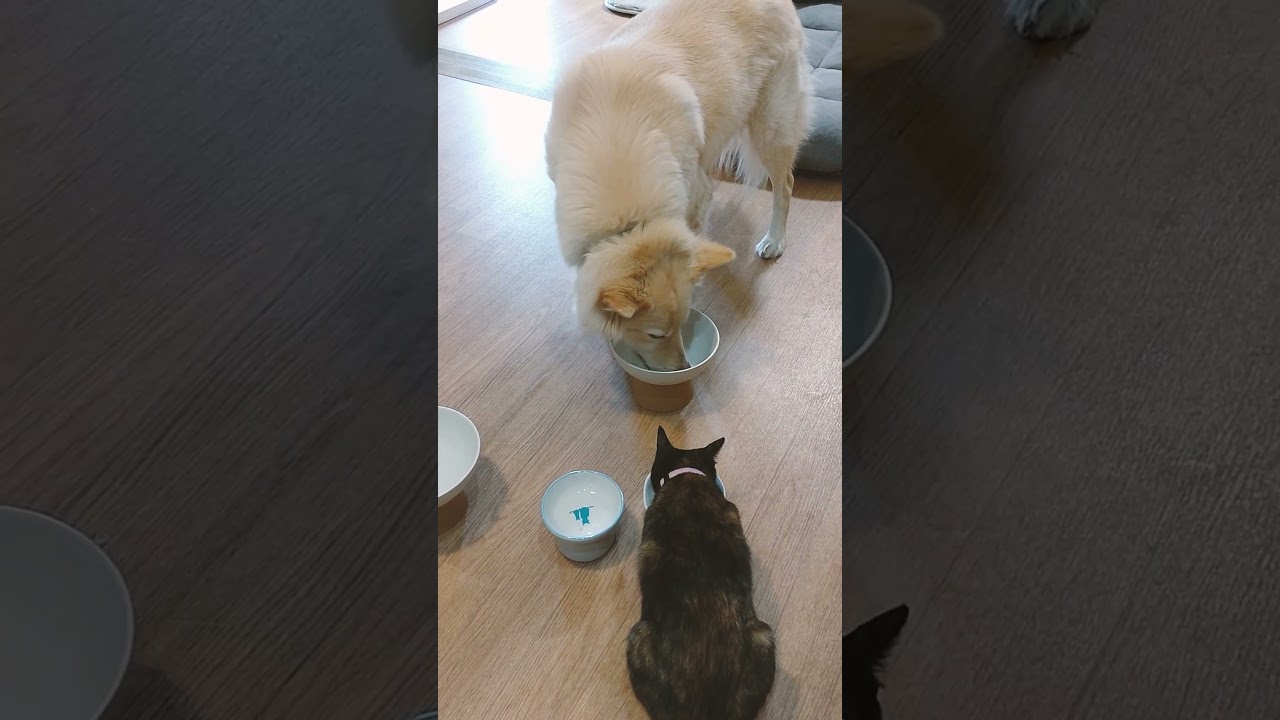 みんなでお昼ごはん