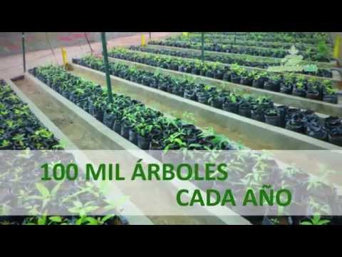 download lagu mp3 mp4 Arborización, download lagu Arborización gratis, unduh video klip Arborización