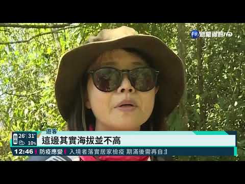 暌違12年重新開園 ｢藤枝｣湧滿滿遊客