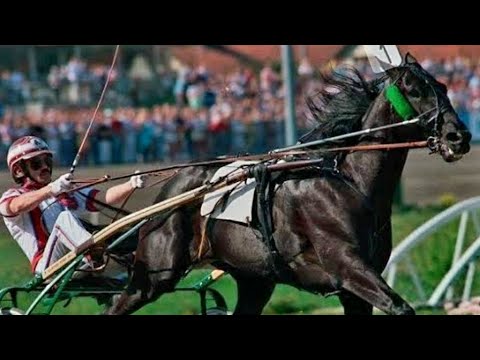 Classic European Racing 1988 Elitloppet : Mack Lobell