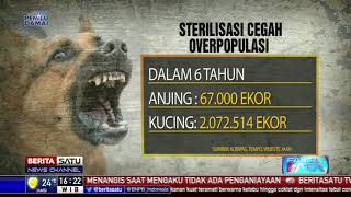 Download lagu Fakta Data: Anjing Bukan Makanan mp3 Download lagu Fakta Data: Anjing Bukan Makanan mp3