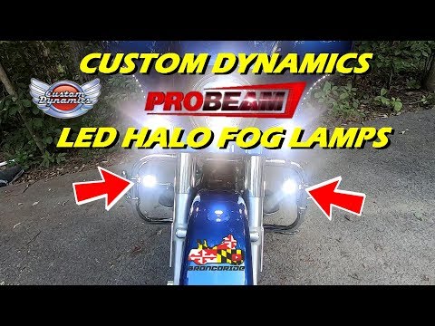 How To Install ProBEAM® LED Halo Fog Lights for Harley Davidson & Indian Motorcycles 🔧