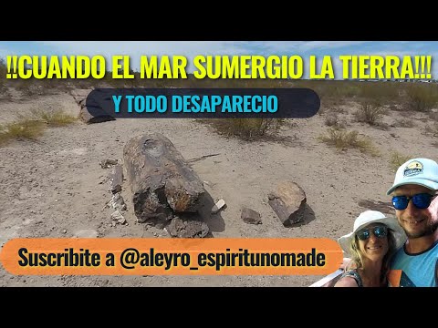Cuando la tierra quedo bajo el mar y se produjo la petrificación!