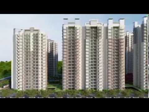3D Tour Of ACE Group Platinum Zeta 1