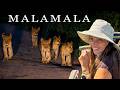You Won T Believe What Happened On My Luxury South Africa Safari MalaMala