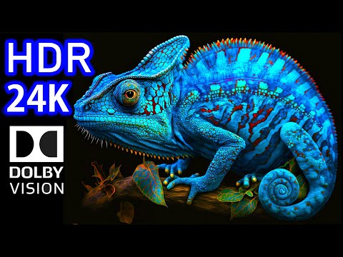 24K HDR 120fps Dolby Vision with Calming Music (Nature & Animal)