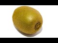 Kiwi 401 Days