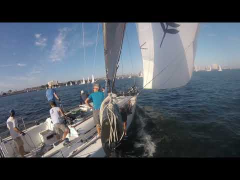 Beer Can 8 2023 on Precepts II