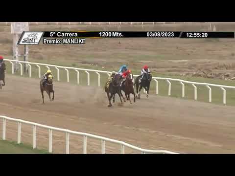 SINT COLONIA 230803 c05 - 1° UNIVERSAL BO