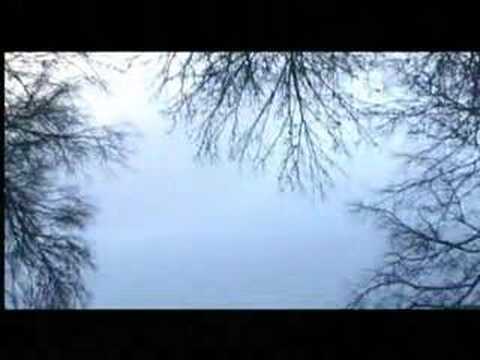 Imagen de previsualización de YouTube