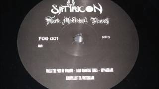 Satyricon - Dark Medieval Times (Full Album Vinyl