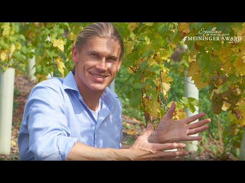 Meinigers Weinwelt Award 2019
