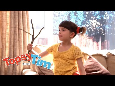 Zagubiony patyk i śpiewanie piosenki | Tosia i Tymek Odcinek podwójny 121-122 | Pełne odcinki HD