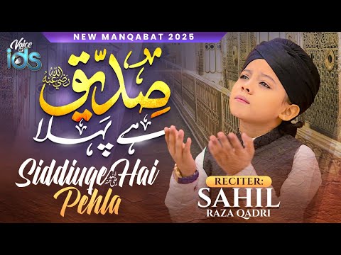 Voice of IDS and Sahil Raza Qadri