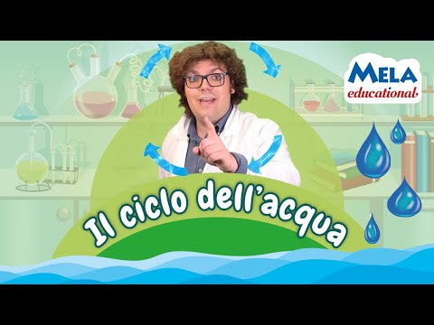 Il ciclo dell'acqua - Renato lo scienziato Educational @Mela_Educational