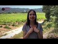 EnoturismoParaSanitarios 177 Bodegas C