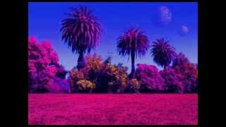 Hans-Joachim Roedelius ~ 'Selbstportrait' Seite A