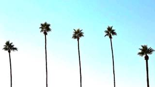 Calikidd - She A Bop Feat. Tay F 3rd