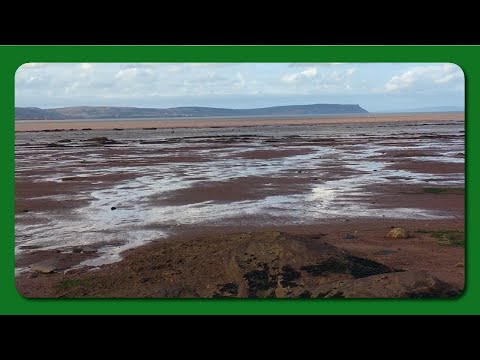 Evangeline Beach At Low Tide