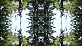 Menis - Rakebeat