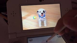 Vidéo Nintendogs + cats Bouledogue Français & ses nouveaux amis - Nintendo Selects