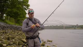 Video thumbnail 2