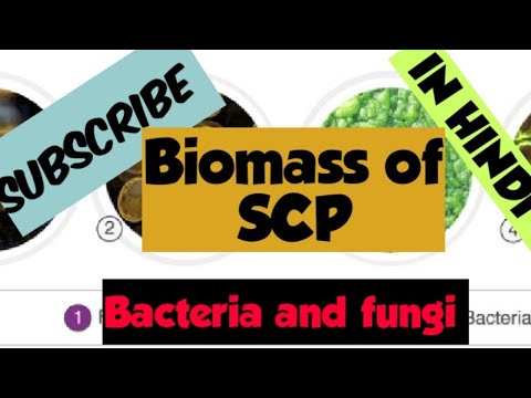 BIOMASS PRODUCTION OF SCP PART 2 ( bacteria and fungi) IN HINDI