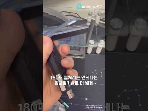 날개를 활짝 펴고 
