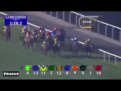 JUST A WAY - 2014 Dubai Duty Free (G1, 1800m)