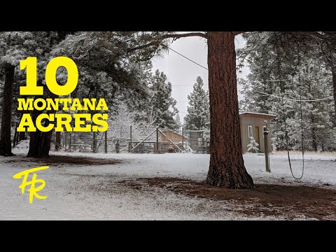 We BOUGHT A HOMESTEAD fixer upper in MONTANA! Was it a MISTAKE?